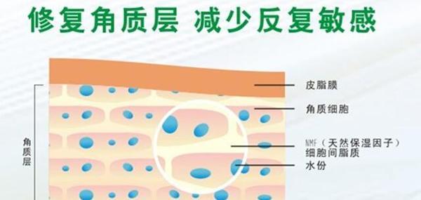 角质层薄敏感肌肤怎么改善