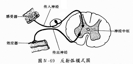 舍曲林治疗早射服用多久见效