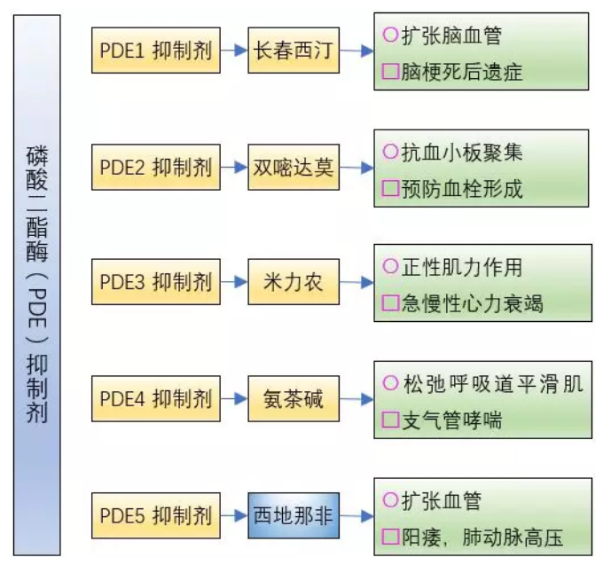 西地那非片能延时多久