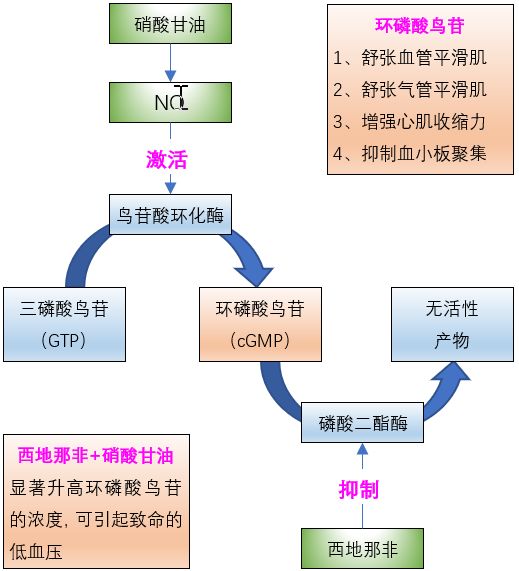 西地那非片能延时多久