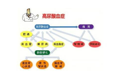 尿酸高吃什么食物可以降尿酸