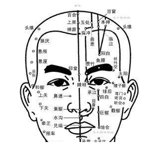 头部穴位图有吗 