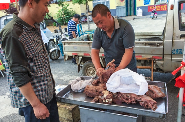 为什么说狗肉壮阳