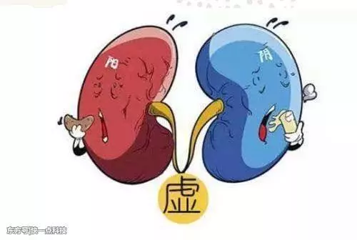 肾气虚肾阴虚怎么调理