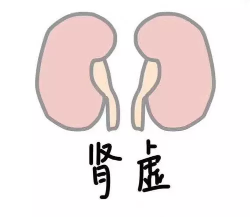 肾虚会早些泄能治好吗