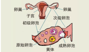 QQ浏览器截图20210316145248.png