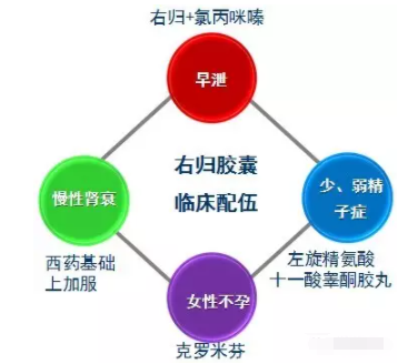 右归胶囊吃了连晨勃都没有了