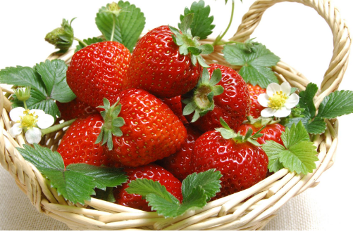 草莓是热性还是凉性，哪些人不宜吃草莓