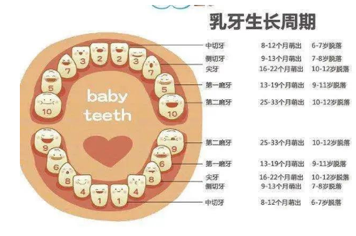 宝宝长牙顺序，有什么注意事项吗