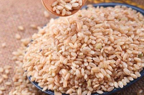 糙米是什么米，吃糙米到底有哪些好处