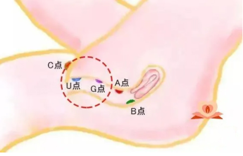 gc一直来一直来