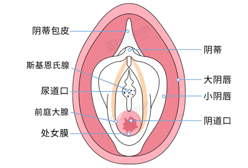 怎么鉴别女朋友是不是处的