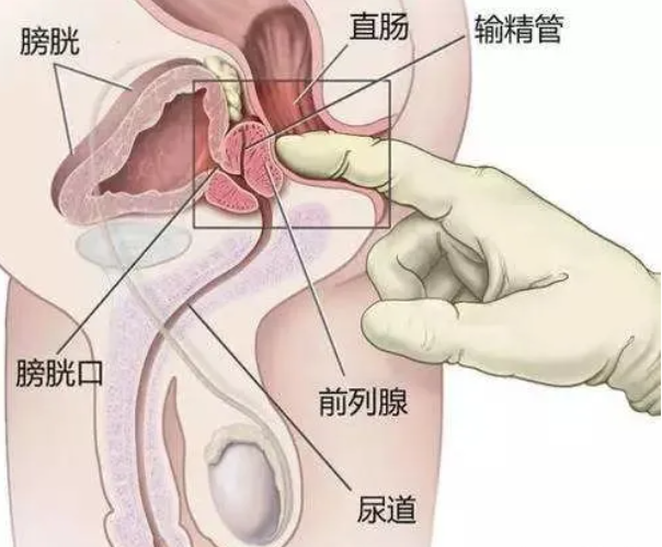 新手如何快速达到前高