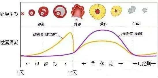 同房过猛出血伴有腹痛怎么办