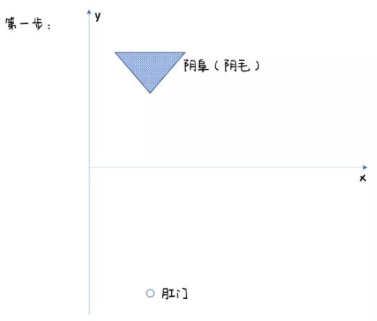 女生下面长什么样儿