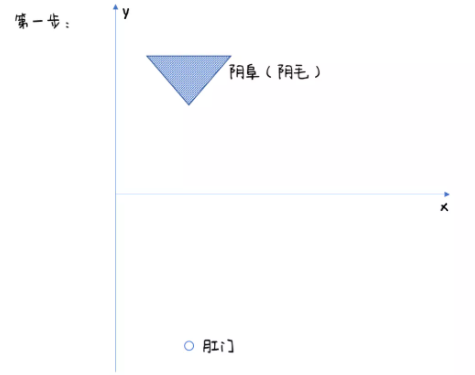 女生下面长什么样儿