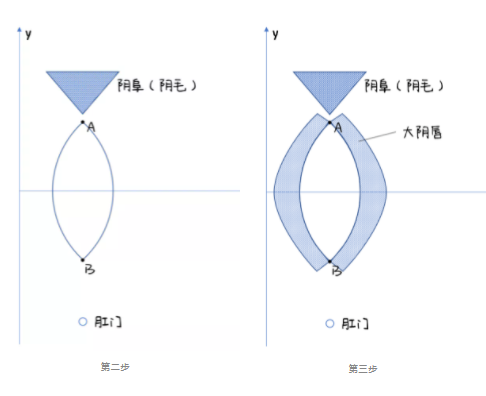 女生下面长什么样儿