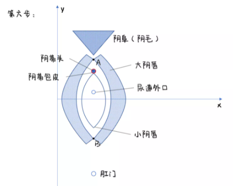 女生下面长什么样儿