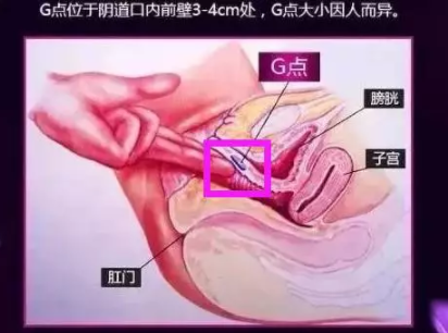 女的朝吹是什么意思