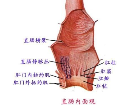  男生是先小便再大便吗