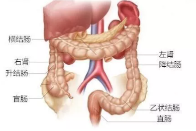 男生怎么一边大便一边小便