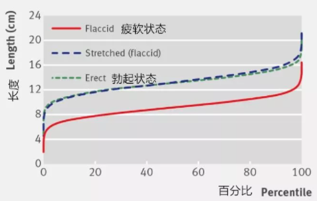 13cm的男生属于大还是小