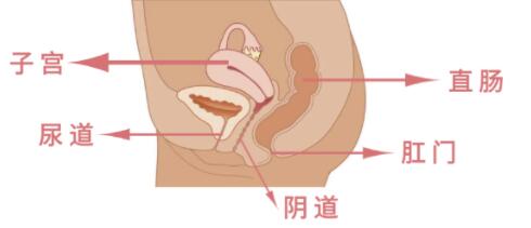 女生用震动棒自摸下面会不会变松