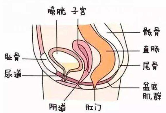 同房的时候总感觉有尿意应该怎么办