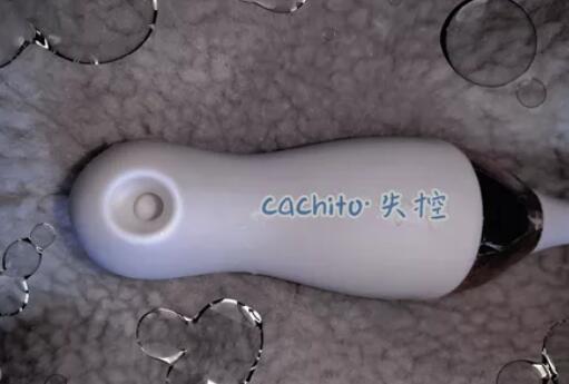 cachito失控软件是骗子吗