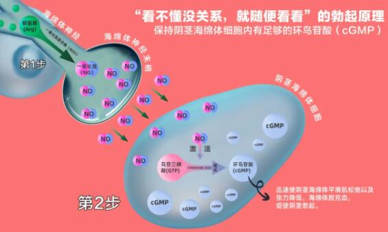 他达拉非能治好性功能障碍吗