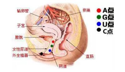 一个小时女朋友都没有gc