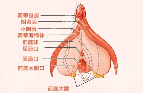 是不是水越多表示越想要