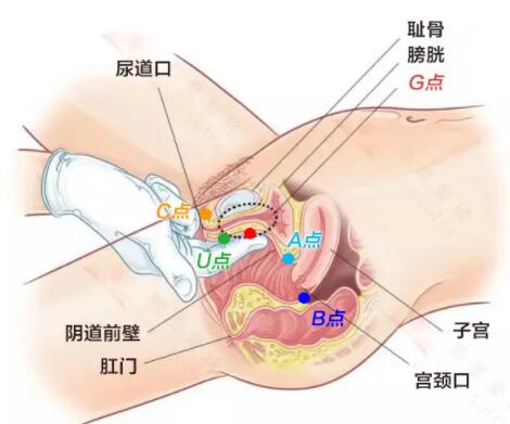 怎样可以夹得更紧