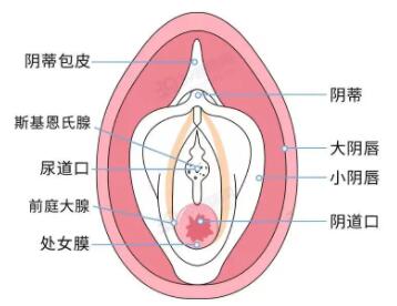 用手是不是也属于第一次没了