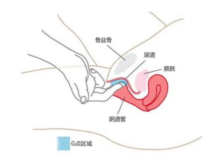 如何把自己弄到喷泉