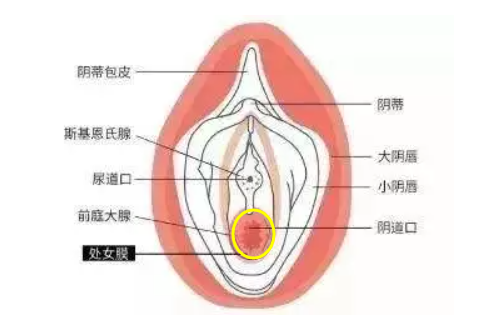 第一次怎么找到孔