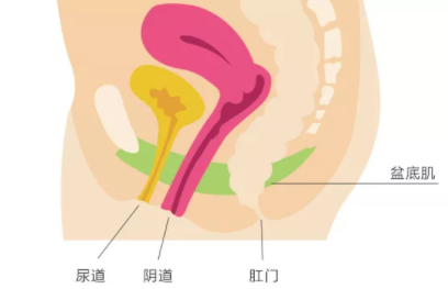 doi的时候怎么夹