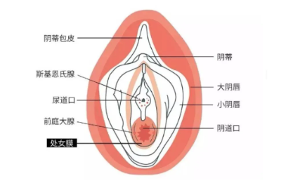 两个人都是新手找不到地方怎么办