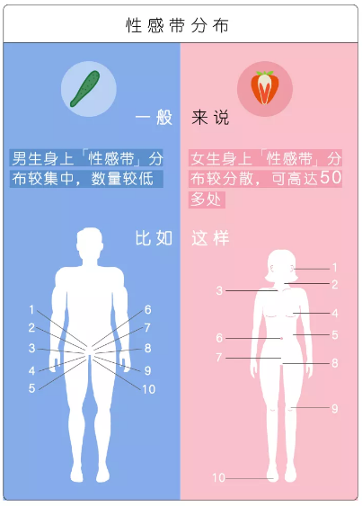 男人最敏感的部位