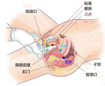 顶到子宫是不是很痛