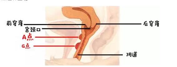 被顶到子宫是一种什么样的体验