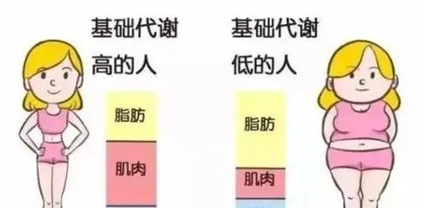 怎样促进新陈代谢快一点