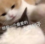 女子长期禁欲会出现什么后果