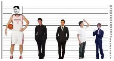 男人身高越高是不是性功能特别好