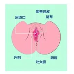 女生的那东西为什么好丑