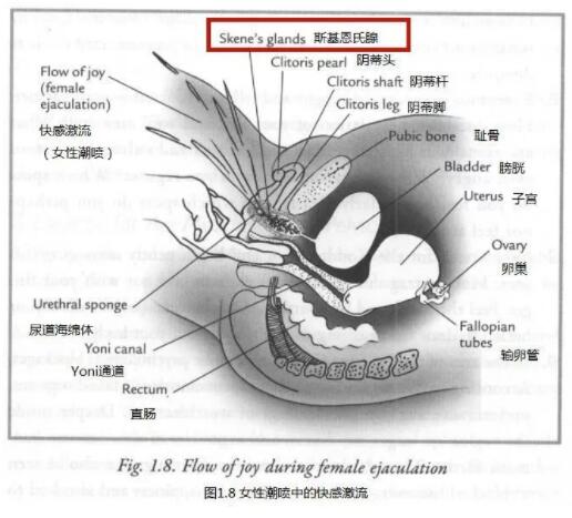 要怎样才可以让女孩子喷泉