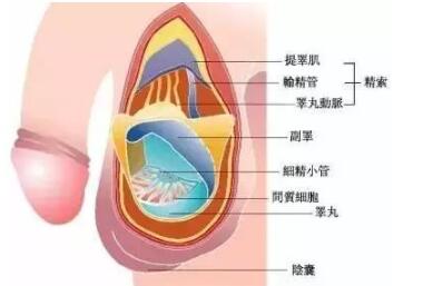 拥抱时感受他有反应了