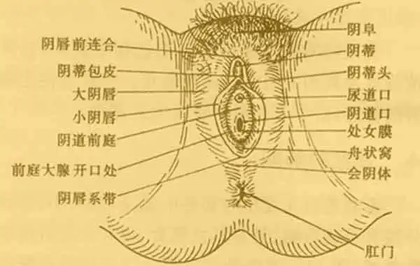 女性清洗私密处的正确方式