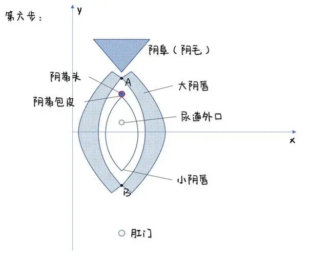 阴di位置在哪里,