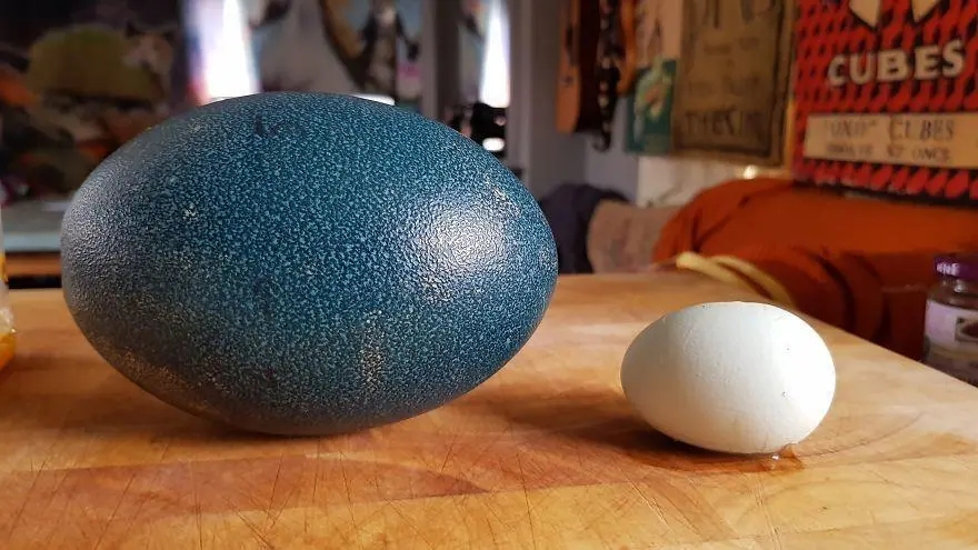 啪啪时蛋蛋突然变蓝了怎么办